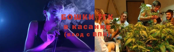 экстази Болотное
