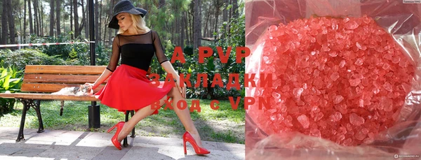 индика Новокубанск