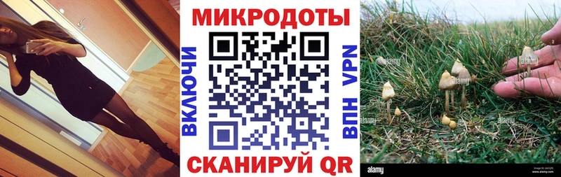 Галлюциногенные грибы Psilocybine cubensis Кувшиново