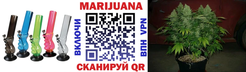 где купить наркотик  Кувшиново  Бошки марихуана планчик 